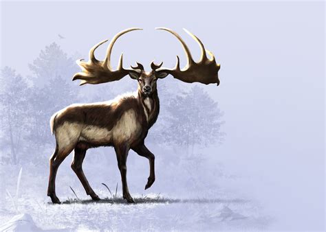 The Irish Elk Restoration - Amin Talebi