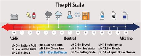 Designing a Color-Changing Paint Using pH - Activity - TeachEngineering