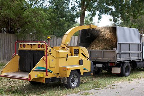 530+ Industrial Wood Chipper Stock Photos, Pictures & Royalty-Free ...