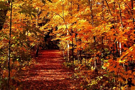 Fall-Colors-Bagley-Nature-Area - Beacon Pointe | Duluth Lakeview Hotel ...