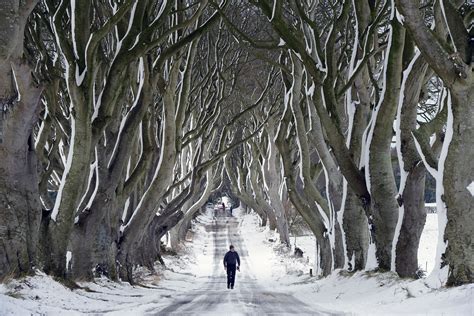 UK winter weather: Beautiful photos of snow in Northern Ireland ...