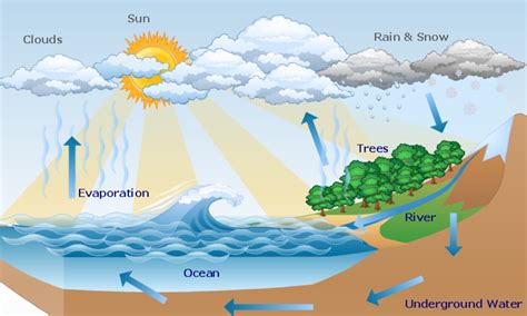 A Water Cycle Diagram Water Cycle