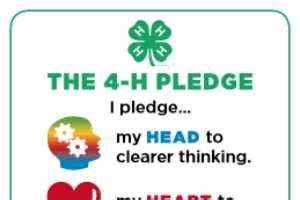 New 4-H Pledge posters - MSU Extension