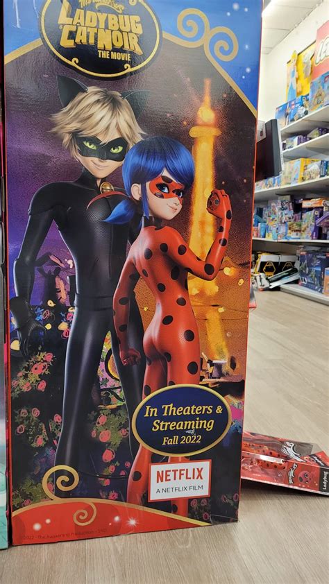 Mysterious 'Miraculous: Tales Of Ladybug And Cat Noir' Project In The ...