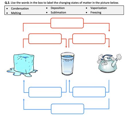 States of Matter and Phase Changes - Worksheet | Printable and Distance ...