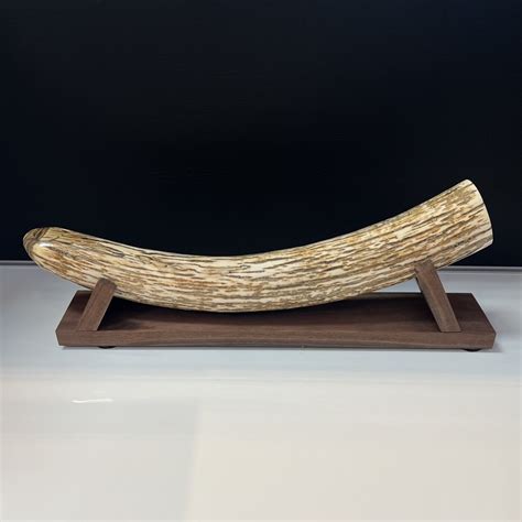 Mammoth Ivory 18 Inch with Stand - Alaska Mint