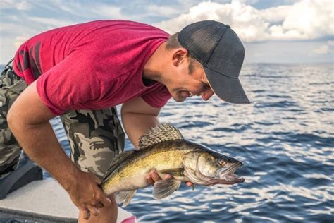 Honey Harbour: Summer Walleye Fishing in Ontario - Hall's Cottages