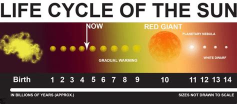 life cycle of the sun - remix (2011) geq otto | Life cycles, Planetary ...