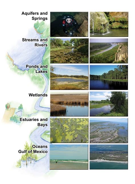 Texas Aquatic Ecosystems – Chapter 6 | Texas Aquatic Science