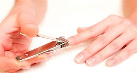 How to clip nails the right way? (Beauty query) - Read Health Related ...