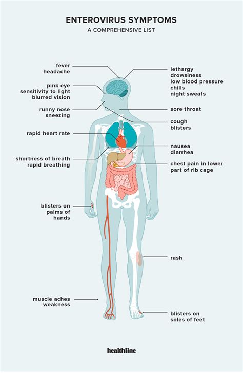 Enterovirus Symptoms in Children and Adults