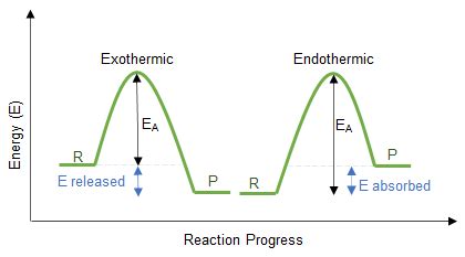 Endothermic And Exothermic Reaction Graph