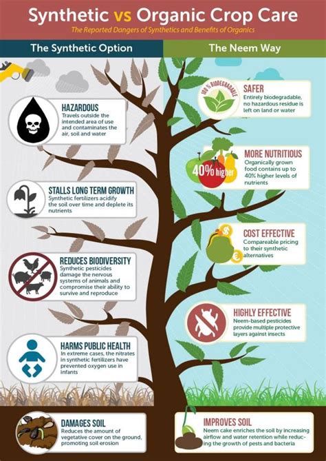 Pesticides for Indoor Plants: What Growers Should Know | Medicgrow