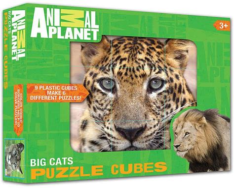 Big Cats Puzzle Cube Set | Cat puzzle, Big cats, Cube puzzle