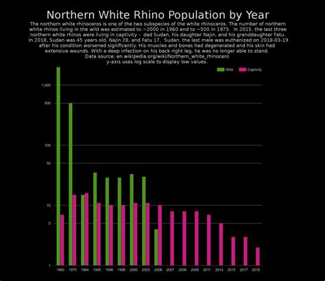 44+ Interesting White Rhino Facts to Learn Today