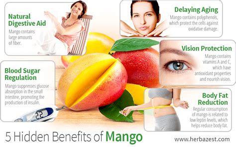 5 Hidden Benefits of Mango | HerbaZest