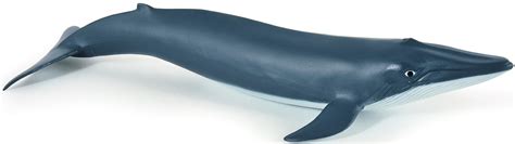 Papo Blue Whale Calf #56041 - Largest Baby of the Sea