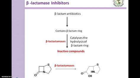 Beta lactamase inhibitors - YouTube