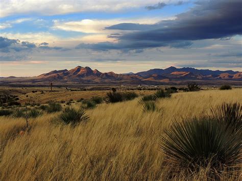 Sonoita, AZ (Photo By: Pam Barnhart) Grand Canyon, Arizona, Grands ...