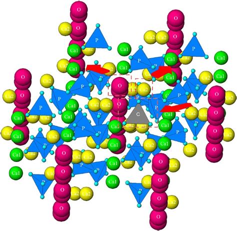 Crystal structure of hydroxyapatite showing a single... | Download ...