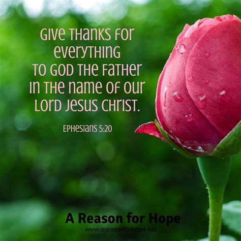 Ephesians 5:20 — A Reason for Hope with Don Patterson