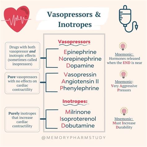 Vasopressors and Inotropes⁠ – Memory Pharm in 2023 | Nursing school ...