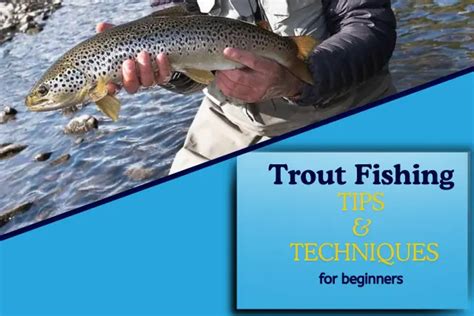 Trout Fishing For Beginners: 15 Tips & Complete Setup Guide