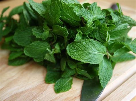 Knife Skills: How to Chiffonade Mint and Other Leafy Herbs