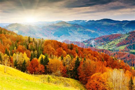 the mountain autumn landscape with colorful forest | Stock image ...