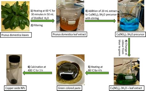 Green synthesis route of copper oxide nanoparticles. | Download ...