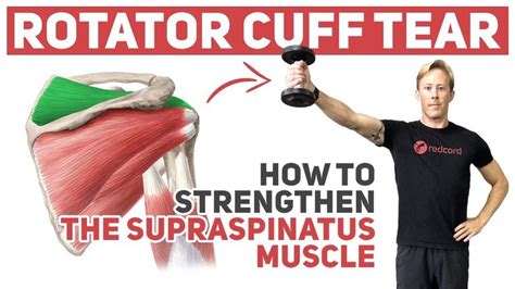 Rotator Cuff Tear (How to Strengthen Supraspinatus) in 2022 | Rotator ...