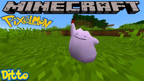 HOW TO FIND DITTO IN PIXELMON REFORGED - MINECRAFT GUIDE - YouTube