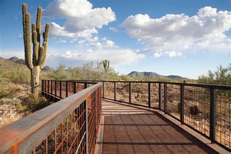 Hiking in Scottsdale: 7 Great Trails | Experience Scottsdale