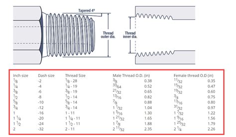 BSP Fittings: An Essential Guide - Hydraxio: China SS Hydraulic ...