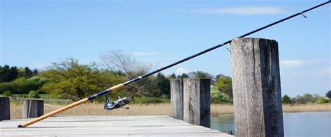 Best Fishing Pole For Beginners In 2021 【Buying Guide】