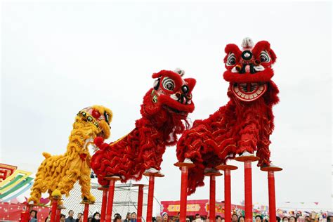 Wang family's lion dance tradition roars on - Chinadaily.com.cn