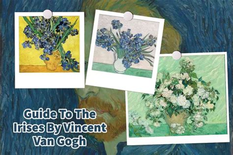 Guide To The Irises By Vincent Van Gogh | Anita Louise Art