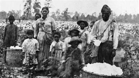 How Slavery Became the Economic Engine of the South | HISTORY