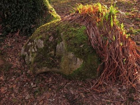 Stunning Grass Sculptures in The Lost Gardens of Heligan | FREEYORK