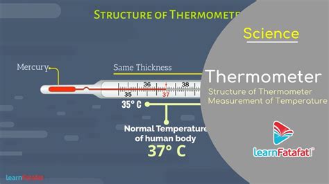 Class 7 Drawing Diagram Clinical Thermometer Diagram