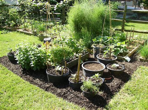 Container Gardening Tips Vegetables | Garden Design Ideas