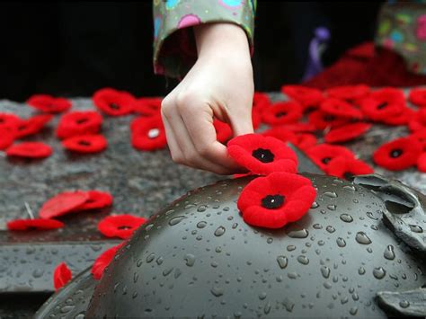 Poppy primer: Everything you should know about Remembrance Day poppies ...