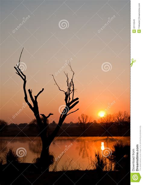 Winter Sunrise with a Tree Silhouette Stock Image - Image of early ...