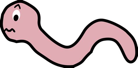 Worm clipart platyhelminthes, Worm platyhelminthes Transparent FREE for ...