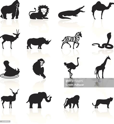 Black Symbols African Animals High-Res Vector Graphic - Getty Images