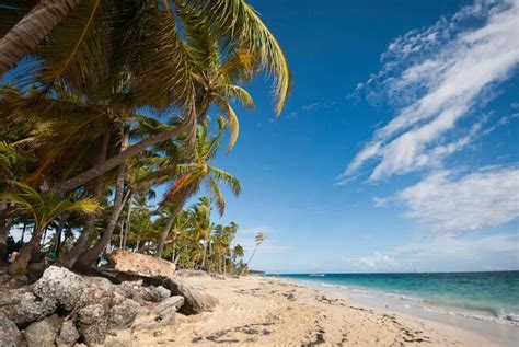 Bavaro Beach (Playa Bavaro), Punta Cana | Tickets & Tours - 2025