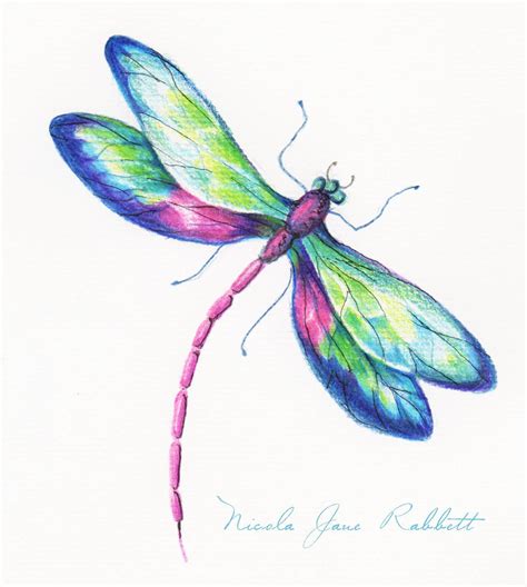 Watercolor dragonfly – Artofit