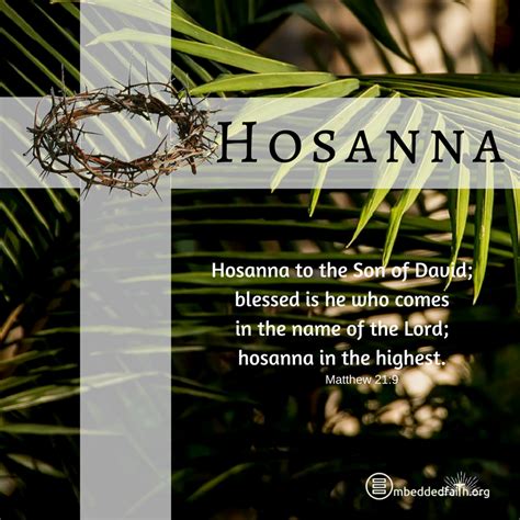 Hosanna to the Son of David; blessed is the he who comes in the name of ...