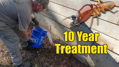 DIY Home Termite Treatment - Long Lasting - YouTube