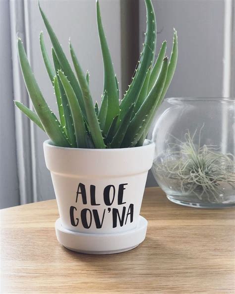 Aloe Govna Funny Plant Pot Plant Pun Plant Holder Funny - Etsy | Plant ...